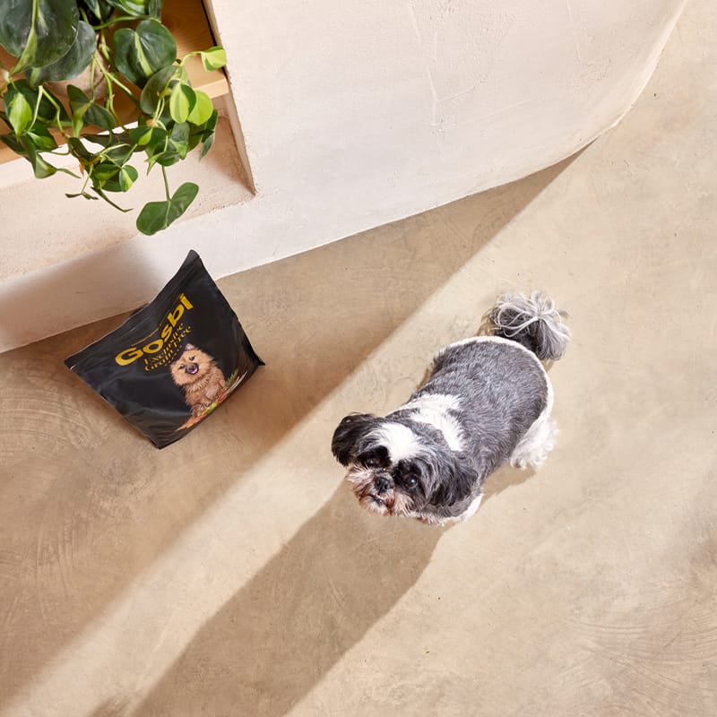 Exclusive Grain Free Dog Adult Mini Light